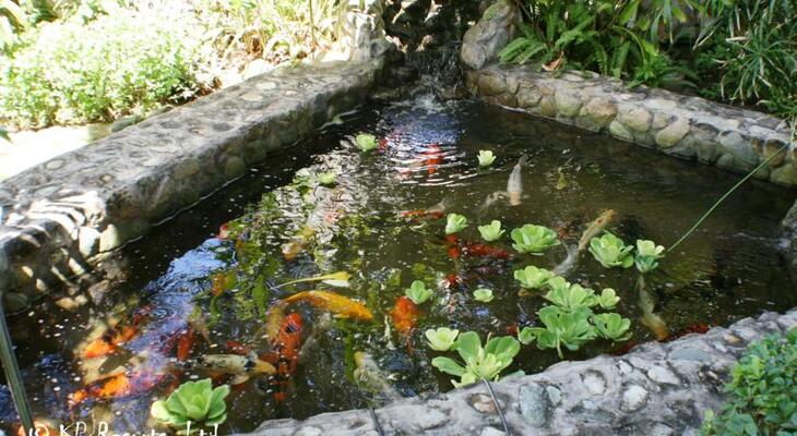Enchanted Waters Tobago