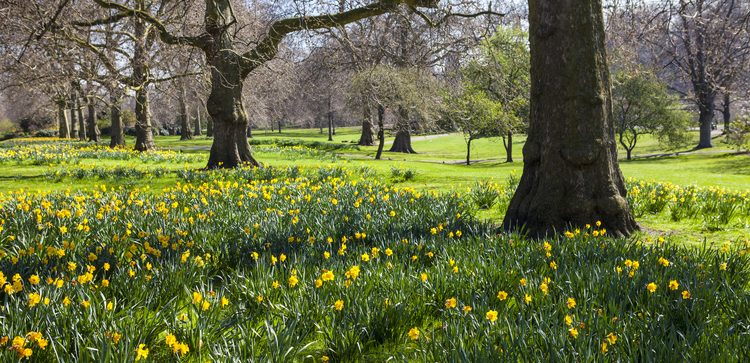 St. James's Park