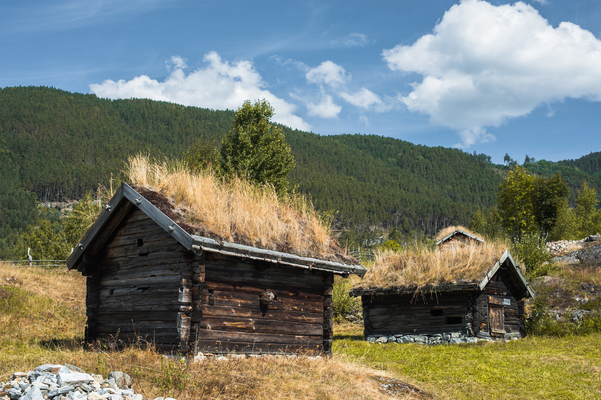 Norsk Folkemuseum