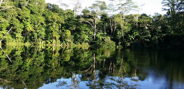 Colo-I-Suva Forest Park