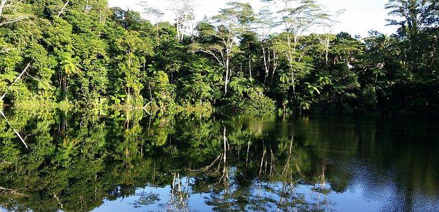 Colo-I-Suva Forest Park