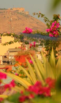 Jaipur Inn