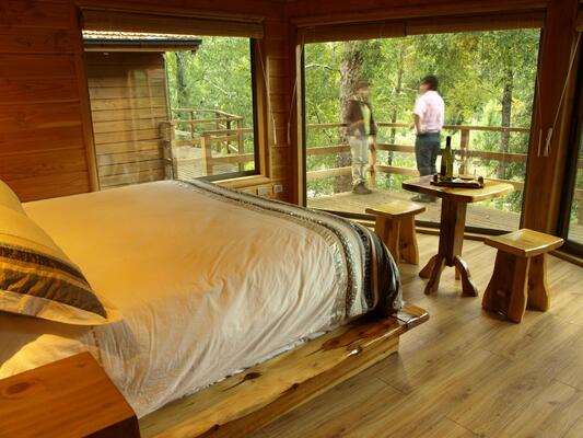 Peumayen Lodge & Termas