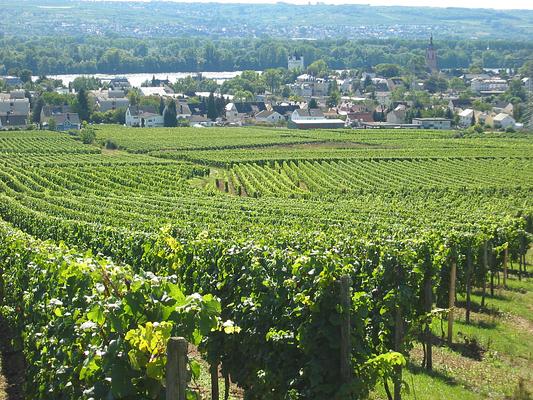 Koegler Hof-Hotel und Weingut