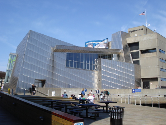 New England Aquarium