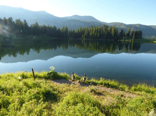 Trout Lake Trail