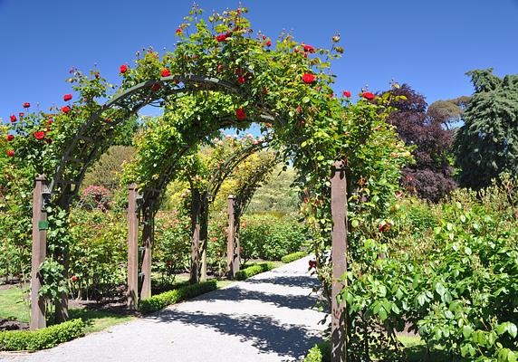 Christchurch Botanic Gardens