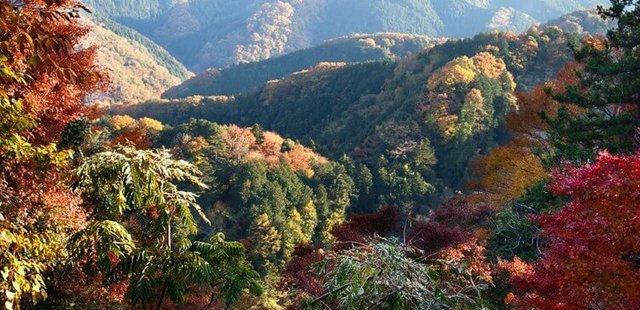 Mt. Takao