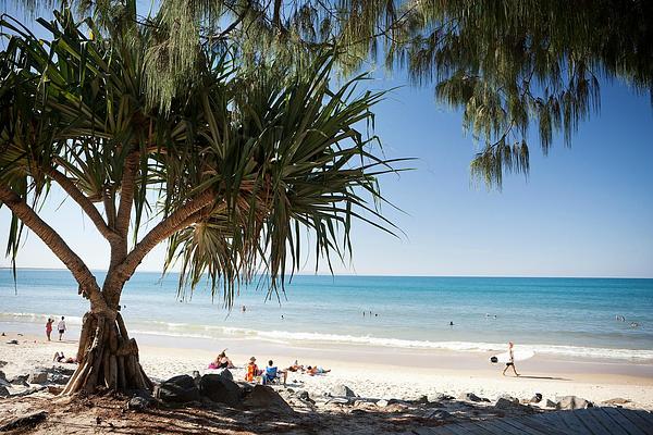 The Sebel Noosa
