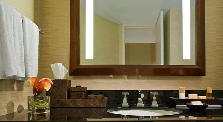 Hyatt Regency Houston Downtown