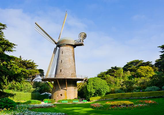 Golden Gate Park