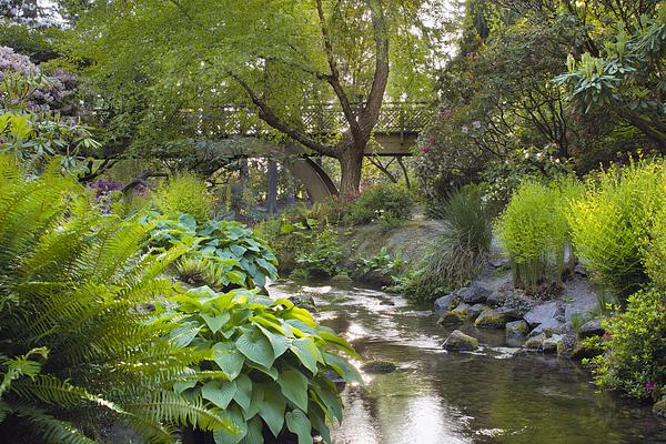 Crystal Springs Rhododendron Garden