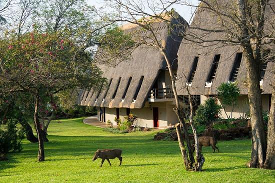 A'Zambezi River Lodge