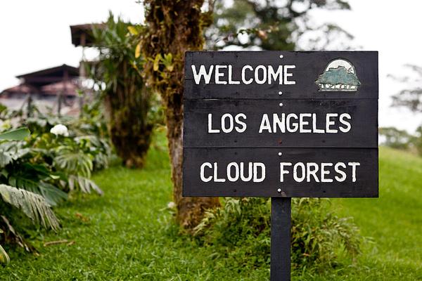 Villa Blanca Cloud Forest Hotel & Nature Reserve