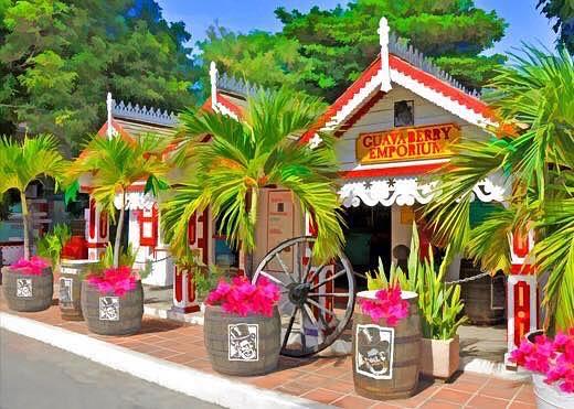 Sint Maarten Guavaberry