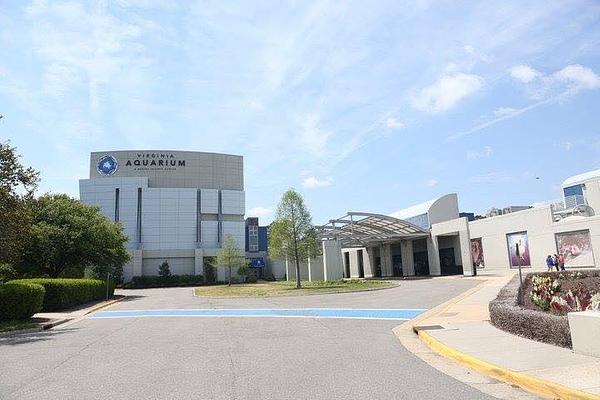 Virginia Aquarium & Marine Science Center