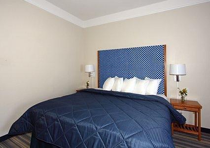 Comfort Inn & Suites Savannah Airport