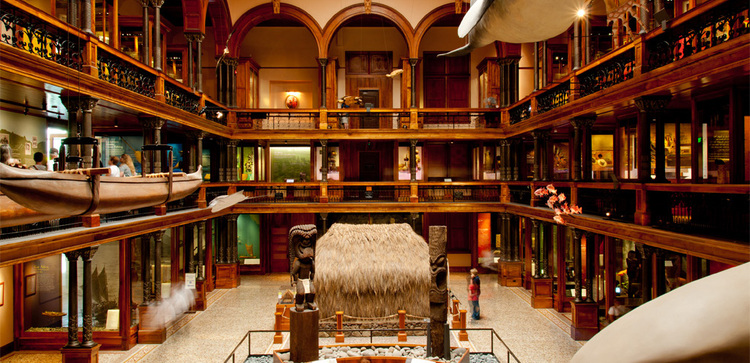Bishop Museum