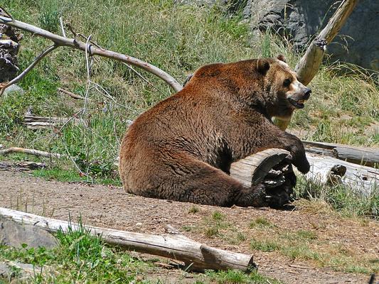 Woodland Park Zoo