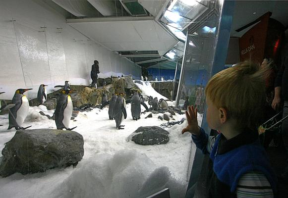 SEA LIFE Melbourne Aquarium