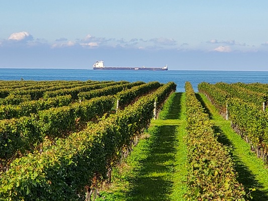 Konzelmann Estate Winery