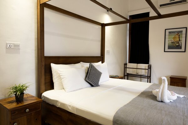 Black Cat Bed and Breakfast