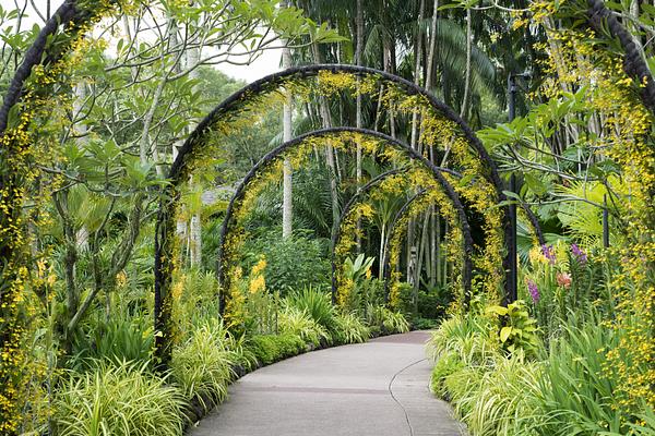 Singapore Botanic Gardens vs Gardens by the Bay | Tripexpert