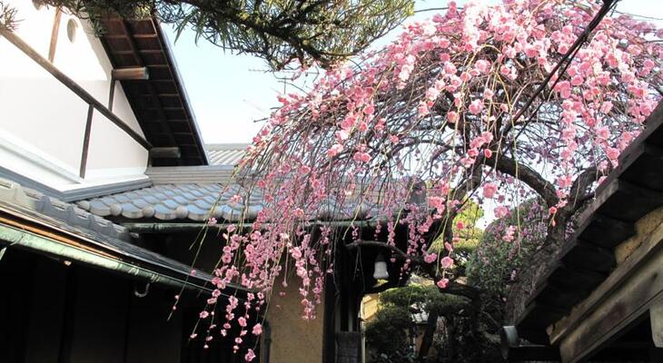 Nara Backpackers