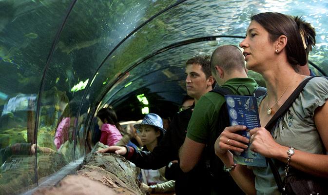 Sea Life Sydney Aquarium