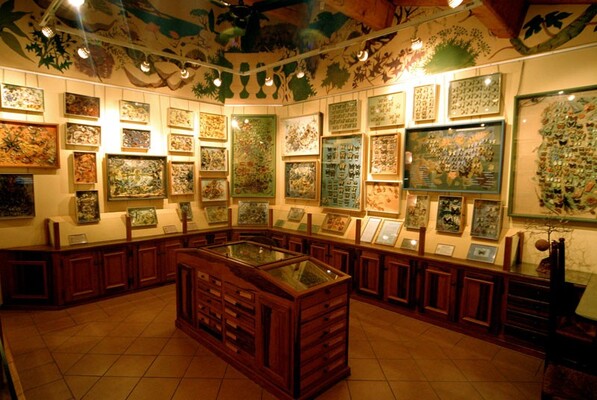 La Maison des Papillons