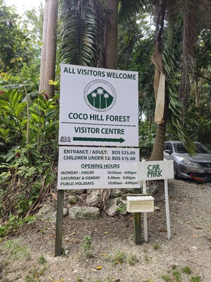 Coco Hill Forest