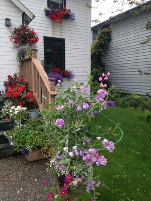 Oscar Gill House Bed and Breakfast