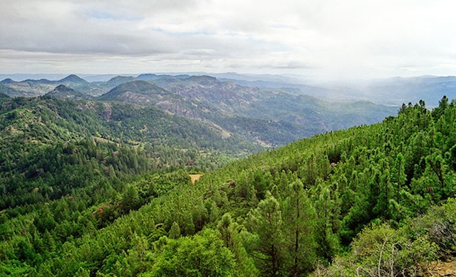 Robert Louis Stevenson State Park