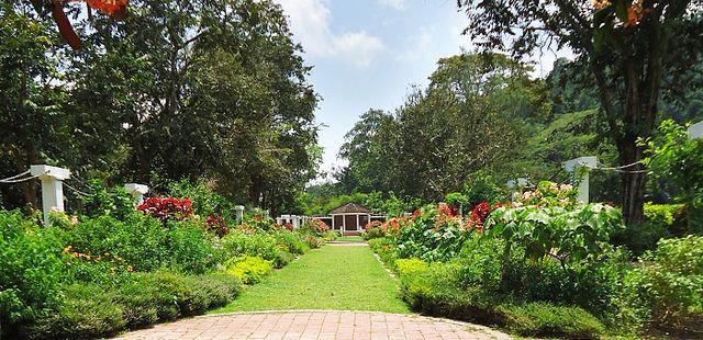 Penang Botanical Gardens