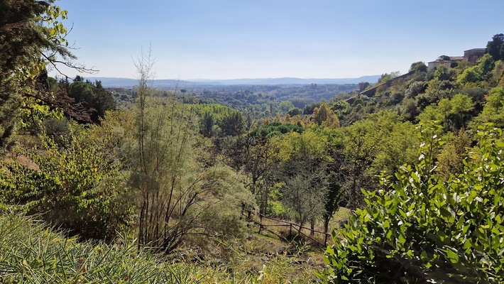 Orto Botanico di Siena