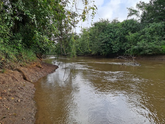 Cano Negro Wildlife Refuge