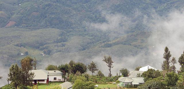 Kelburne Mountain View Cottages