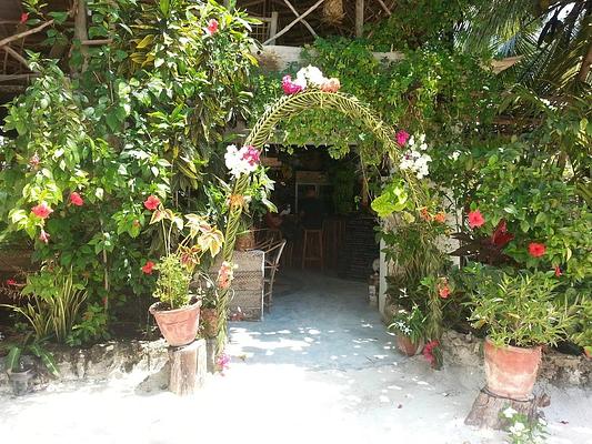Mustapha's Place
