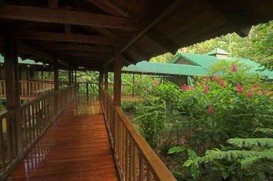 Selva Verde Lodge