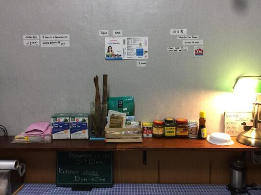Backpackers in Jeju