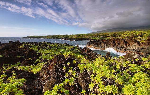 Wai'anapanapa State Park