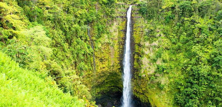 Akaka Falls State Park