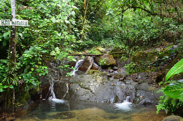 Rio Magnolia Nature Lodge