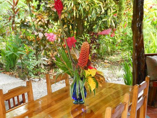 Coral Hill Bungalows