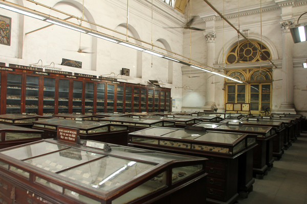 Indian Museum (Jadu Ghar)