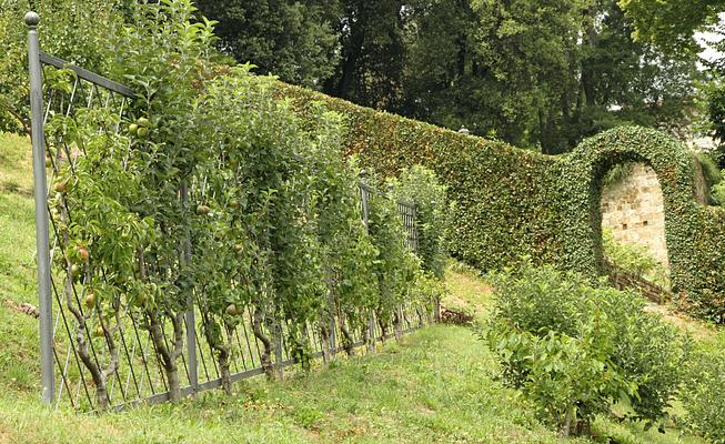 Giardino Bardini