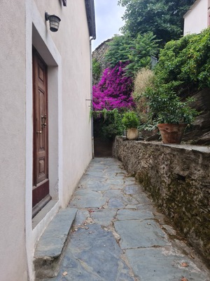 Casa Maria