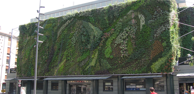 Avignon Les Halles