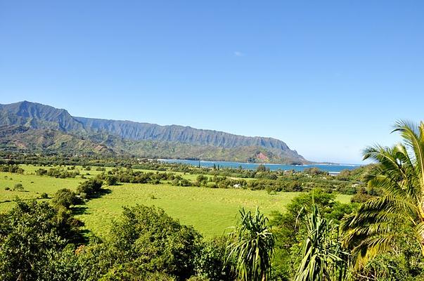 Hanalei Valley Lookout