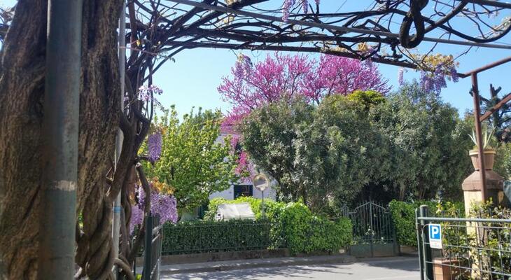 Hotel Stipino